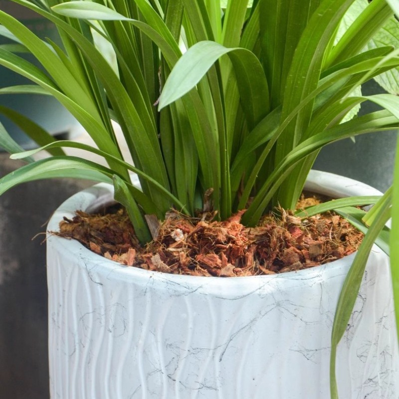 Cegła z włókna kokosowego z or – Substrate Coconut Fiber recenzja i cena