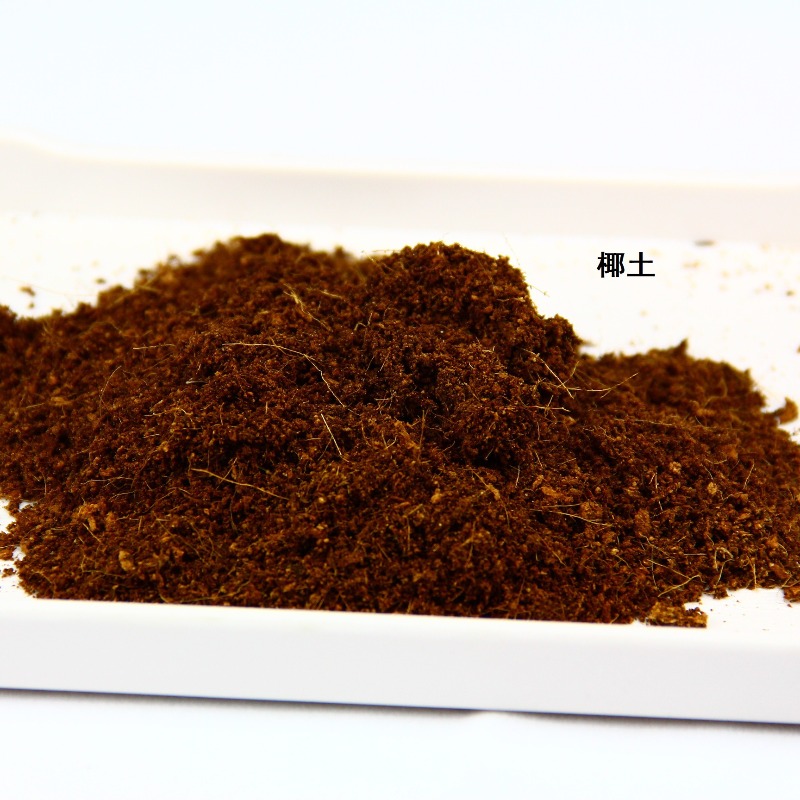 Podłoże dla gadów z włókna kok – Substrate Coconut Fiber recenzja i cena