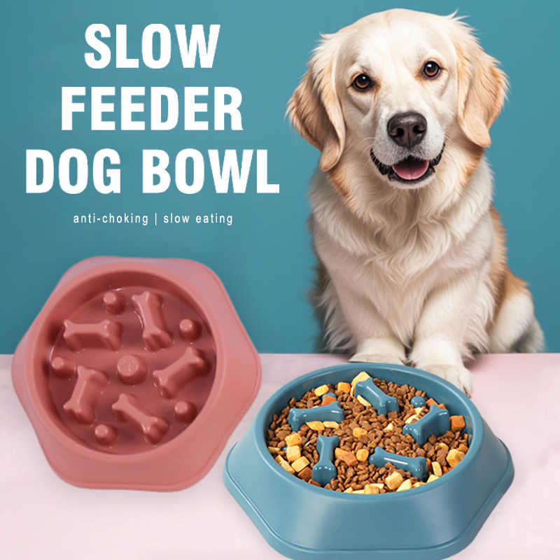 Miska dla psa z funkcją powoln – Royal Canin Food Medium recenzja i cena